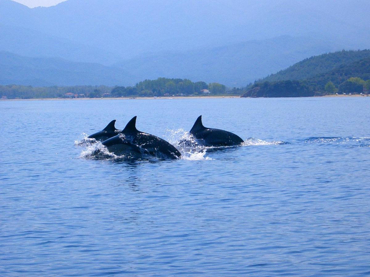 Appartamento Assamaris Asprovalta Esterno foto